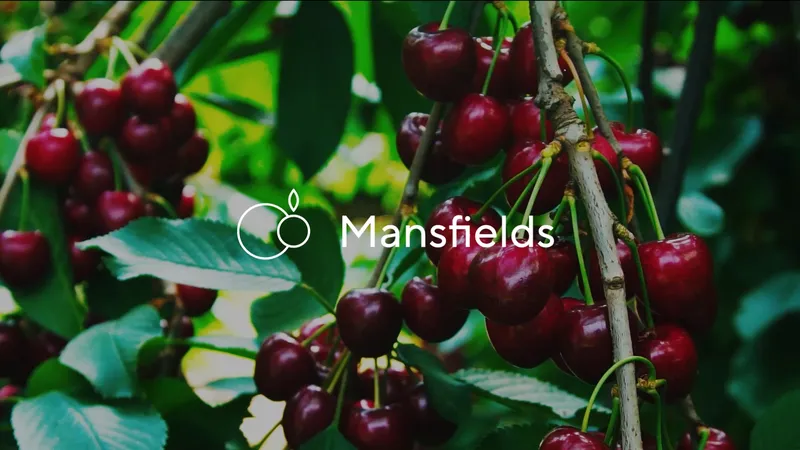Mansfields