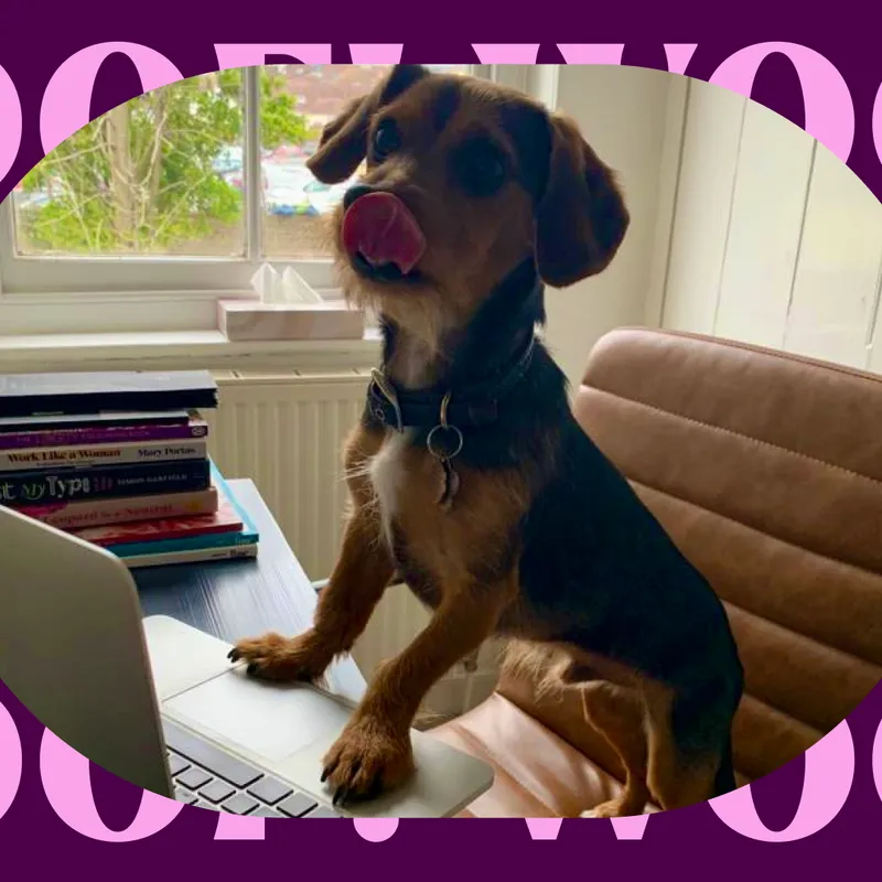 Who is our ‘Barketing Manager’ Bernard?
