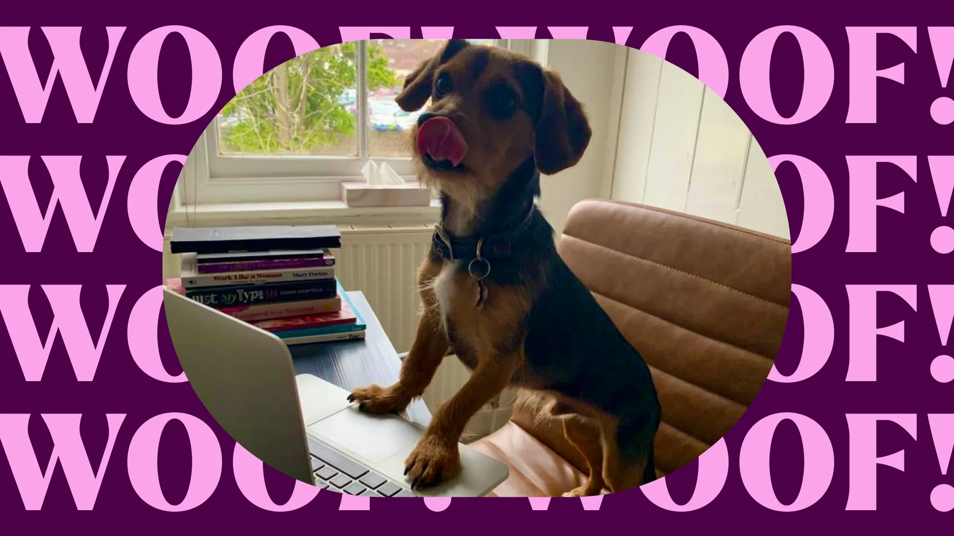 Who is our ‘Barketing Manager’ Bernard?