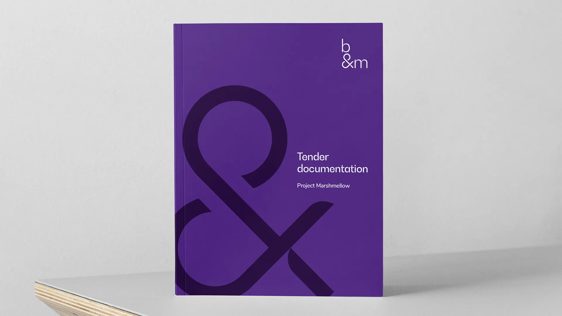 b&m tender doc