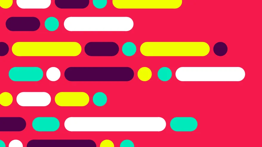 To code or No-code?