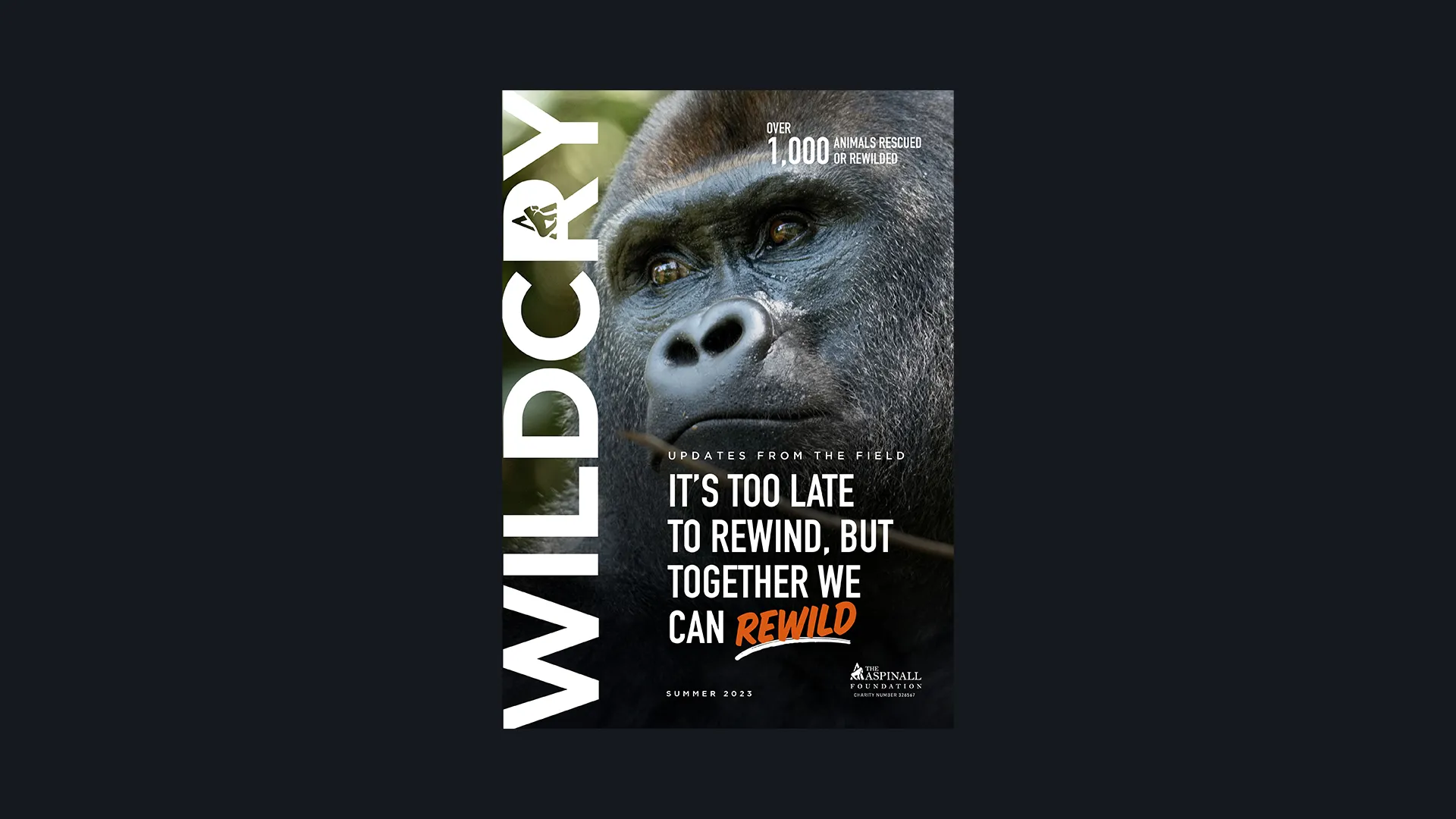 Revamping Wildcry's magazine